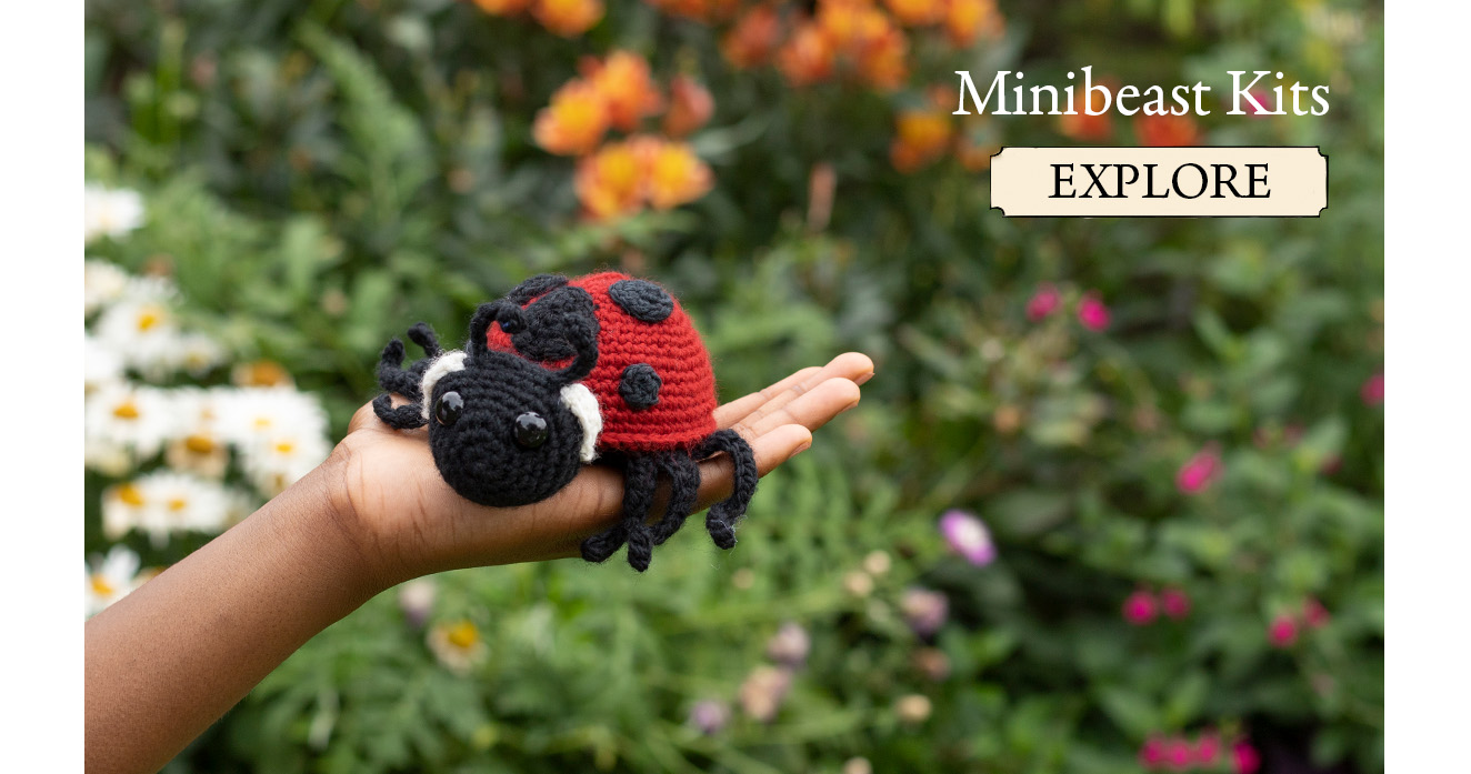 Minibeast kits crochet ladybird toft